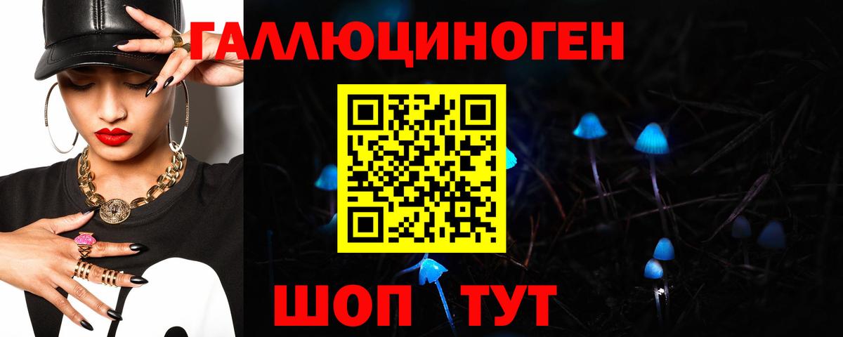 Псилоцибиновые грибы Cubensis Арзамас